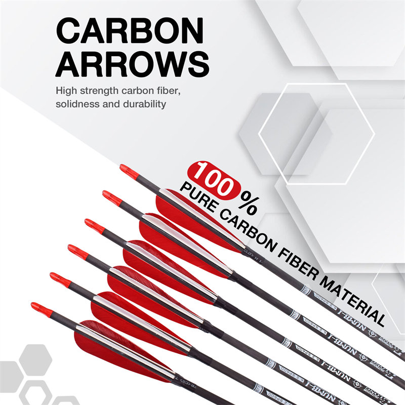 carbon arrow elongarrow13.jpg